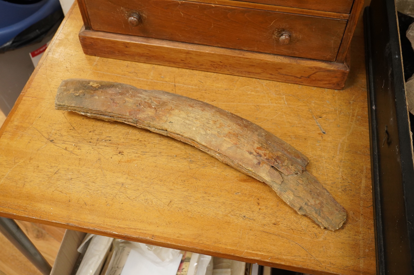 A selection of Natural History specimens to include a mammoth tooth, mammoth tusk fragments, mammoth toe bone, Megalodon tooth and a fish fossil in matrix, contained within an ebonised display cabinet